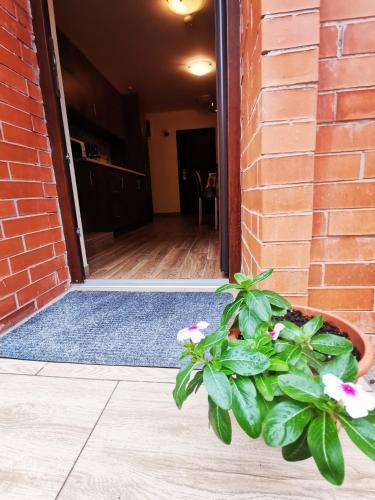 Bed & Breakfast Cazare Timisoara T90