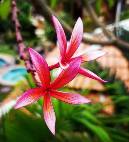 Apartamento Baansuan Residence, Pattaya