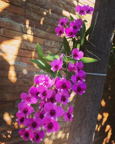 Apartamento Baansuan Residence, Pattaya
