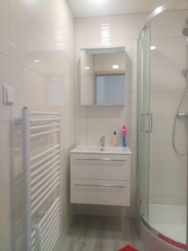Apartamento Ubytov�n� Pu?kinova