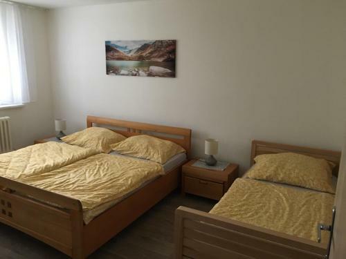 Apartamento Ubytov�n� Pu?kinova
