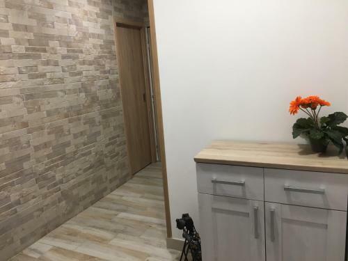Apartamento Ubytov�n� Pu?kinova