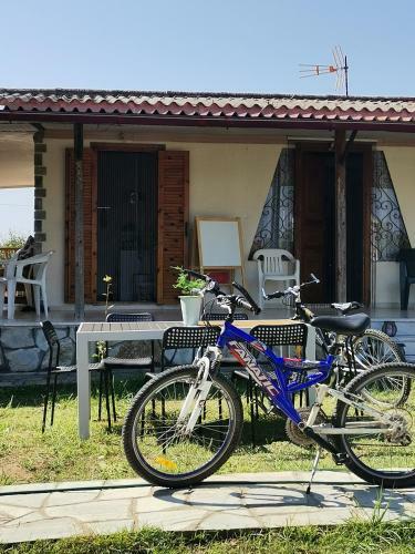Green Vila