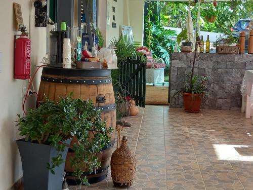 Tabua Village Suite Vip