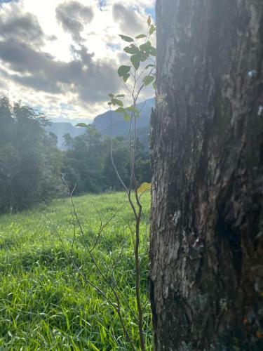 Morro Do Eurico