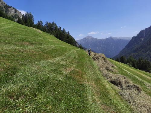 Apartamento Haus Bergblick