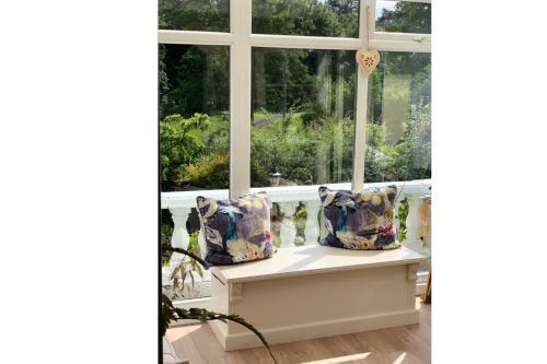 Lovely Studio Apartment With Roof Top Conservatory