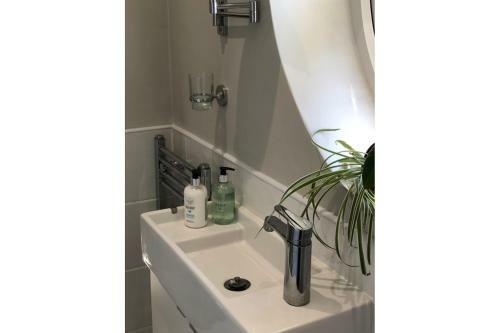 Lovely Studio Apartment With Roof Top Conservatory