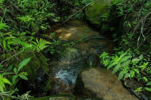 Lodge Pousada Terra Dos P�ssaros
