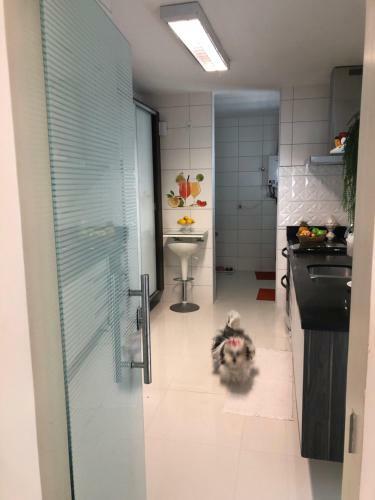 Apartamento Luxo Le Parc