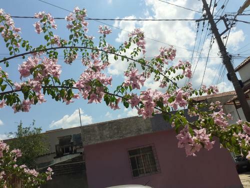 Portal Amor E Luz Hospedagem