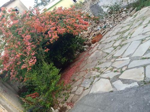 Portal Amor E Luz Hospedagem