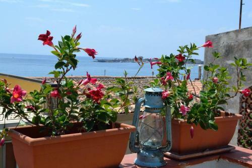 Aroma Di Naxos Apartment