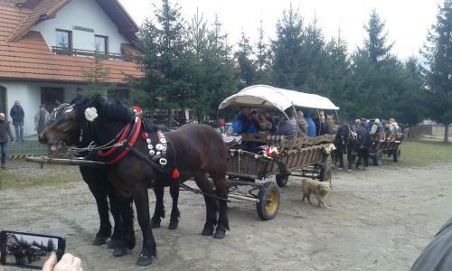 Agroturismo Pokoje U Pitera