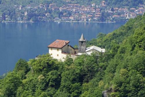 Nido Di Rongio