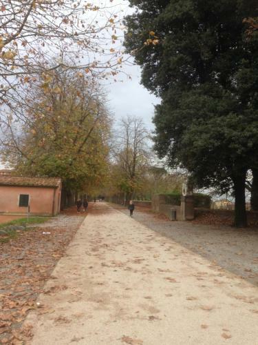 Apartment Anfiteatro