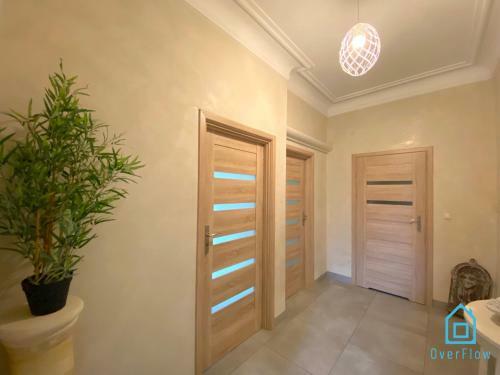 Luxury Apartment