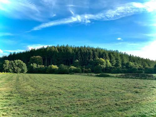 Trelaske Mill Cider Barn-with Hot Tub, Fire Pit Bbq