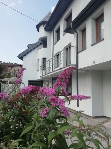 Apartamenty Niedzwiadek