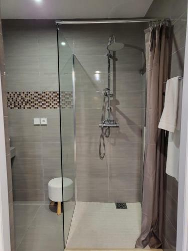 Apartamenty Niedzwiadek