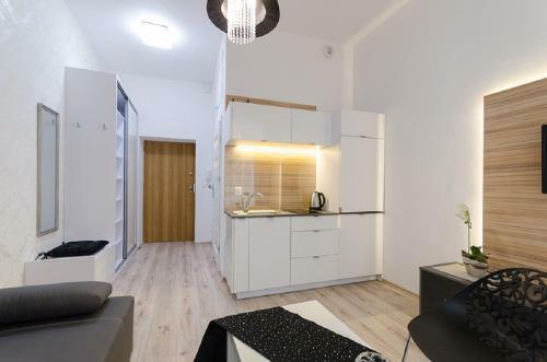 Venice Apartments/old Town
