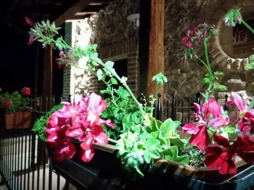 Bed & Breakfast Antico Borgo