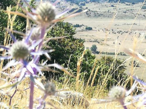 Bed & Breakfast Antico Borgo