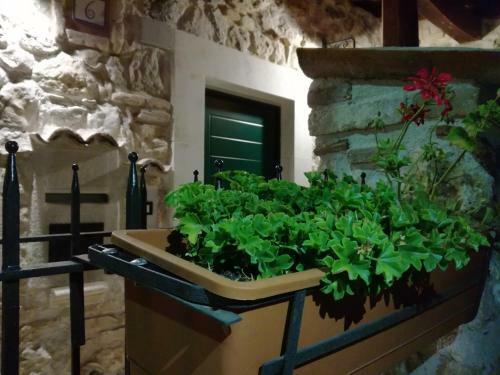 Bed & Breakfast Antico Borgo
