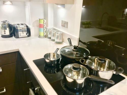 London Excel 2 Bedrooms River View Apartment