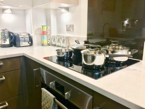 London Excel 2 Bedrooms River View Apartment