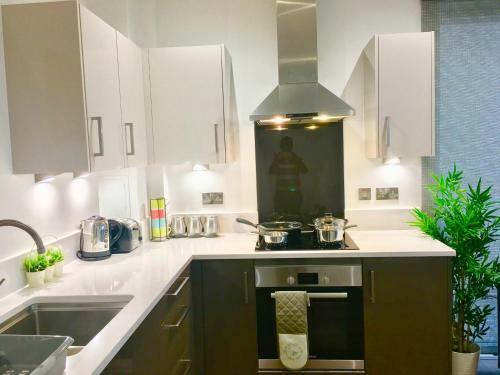 London Excel 2 Bedrooms River View Apartment