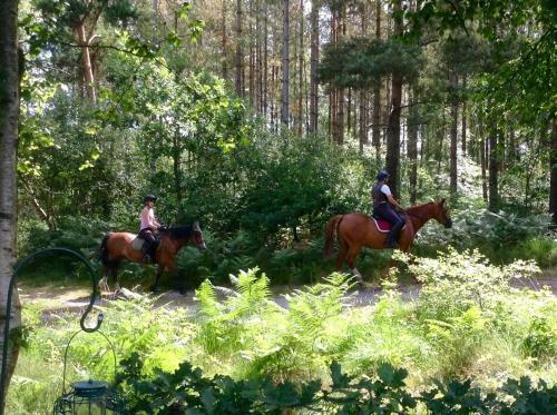 Oakdene Forest Park