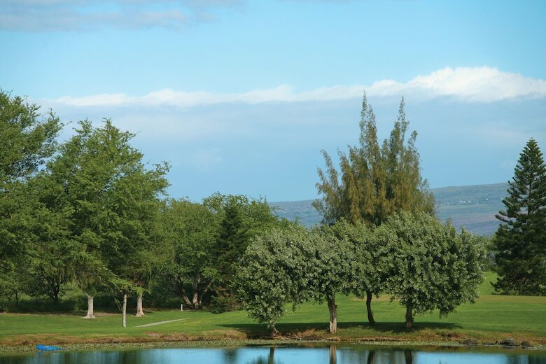 Villa Paniolo Greens Resort