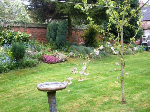 Bed & Breakfast Donington Cottage
