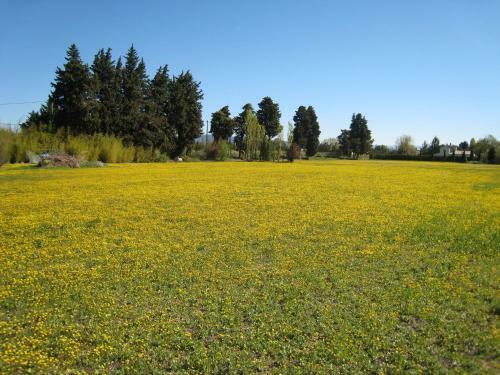 Holiday Home Les Plantiers Cavaillon