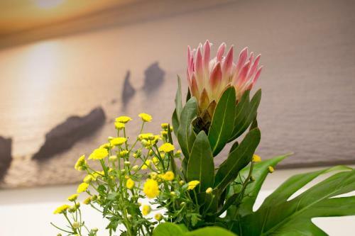 Apartamento Holiday House Da Vinci