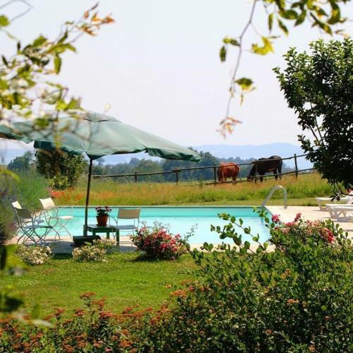 Hostal Casale Sovrastante Il Lago Di Bolsena