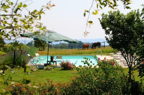 Hostal Casale Sovrastante Il Lago Di Bolsena
