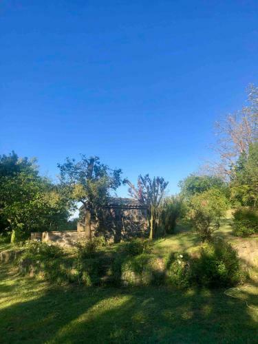 Hostal Casale Sovrastante Il Lago Di Bolsena