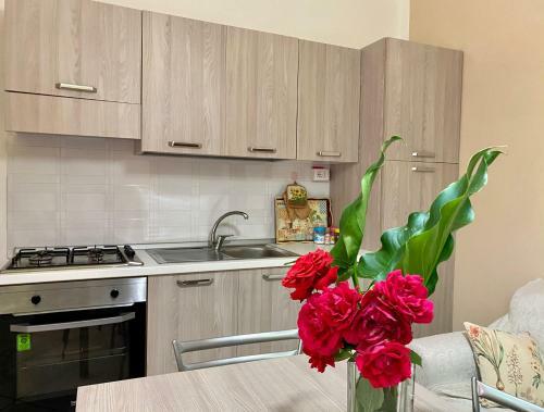 Apartamento Appartamento "il Geranio"