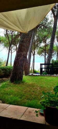 Apartamento Seafront Marina Bay