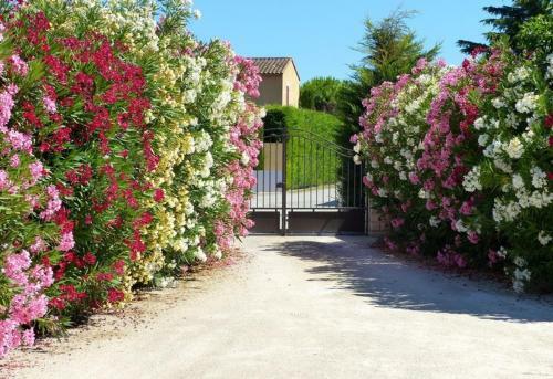 Bed & Breakfast Le Clos De Calas