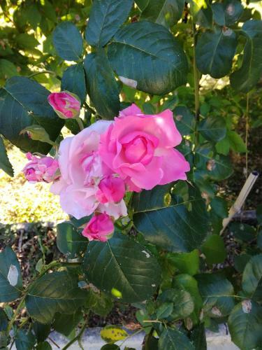Le Domaine De L'isle B&B