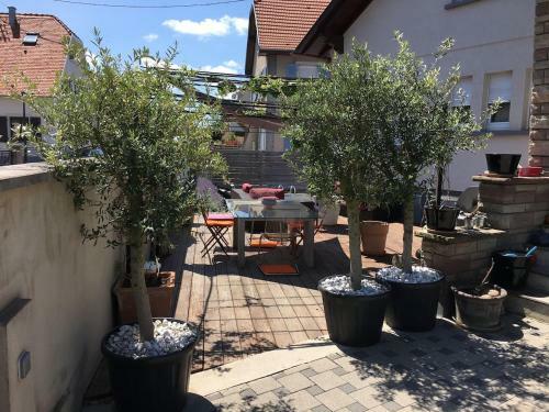Apartamento La Terrasse Selestadienne