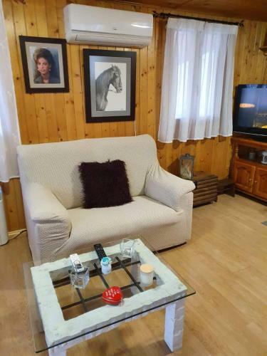 Caba�a De Madera Especial Y Acogedora