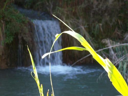 Agroturismo Parajes Del Jucar