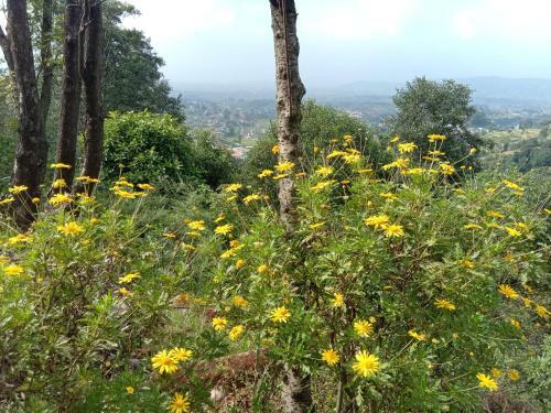Hostal Bhanjayang Resort