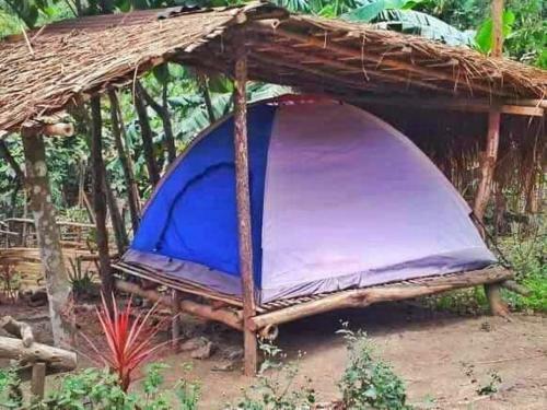 Agroturismo Camping Paradise And Singalong Mountain Garden