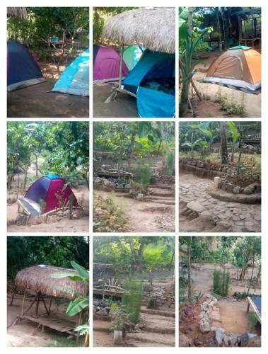 Agroturismo Camping Paradise And Singalong Mountain Garden