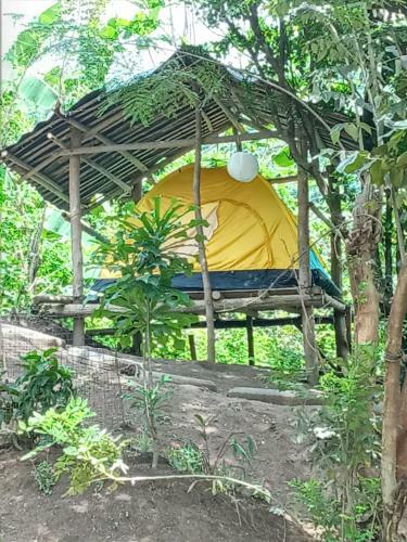 Agroturismo Camping Paradise And Singalong Mountain Garden